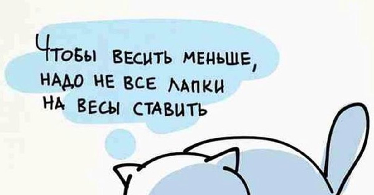 Поменьше ставь. Не все лапки на весы ставить. Чтобы весить меньше надо не все лапки на весы ставить. Мало весит. Надо не на все лапки вставать.