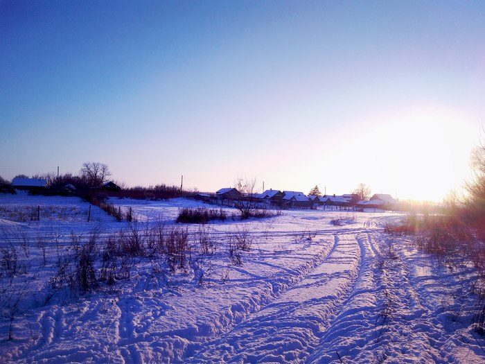 Normal winter - My, Winter, Forest, The photo, Longpost