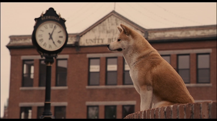 Hachiko as an occasion for reflection. - Sadness, Hachiko, Thoughts, Reflections, Movies