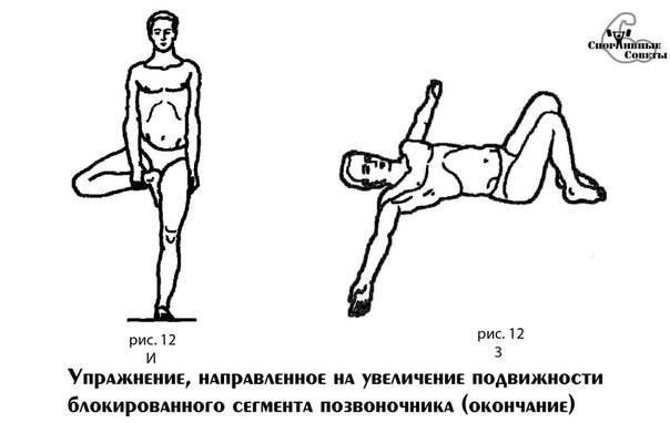 Exercises to increase the mobility of the spine - Sport, Тренер, Sports Tips, Health, Spine, Physical Education, Flexibility, Exercises, Longpost