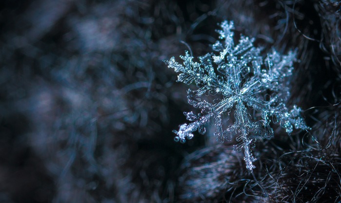 Snowflake - My, Snowflake, Macro, Snow, Crystals, Mp-e 65 mm, Macro photography