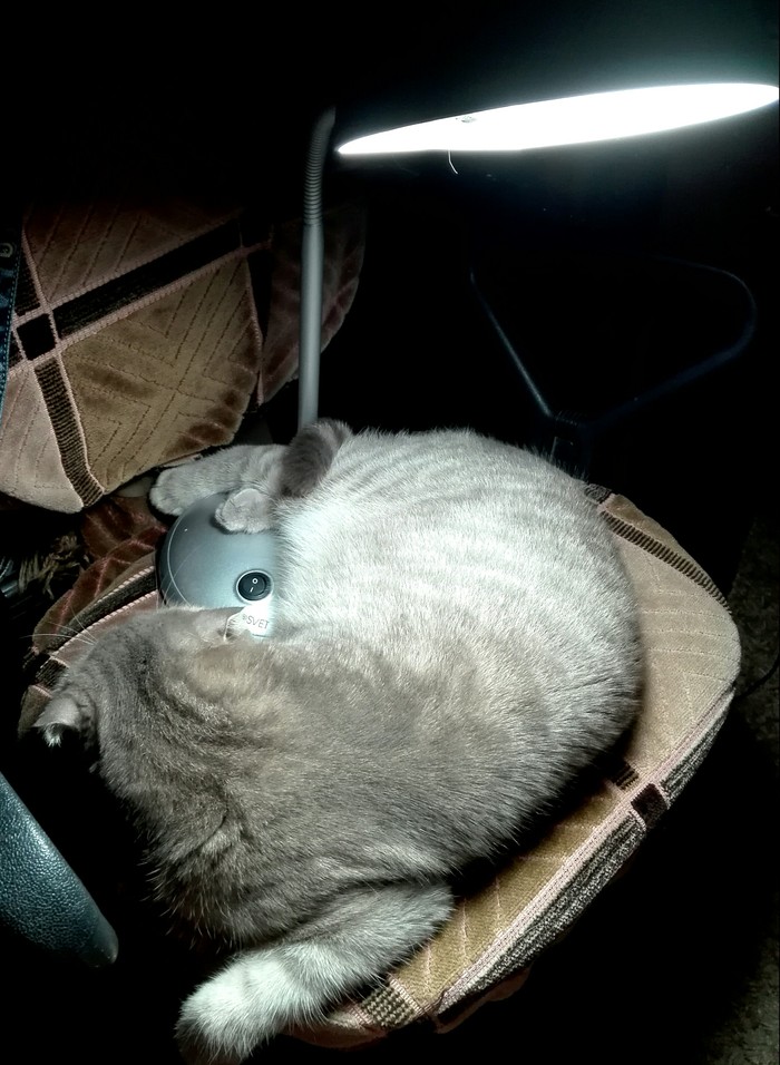 ������ ����� � ������