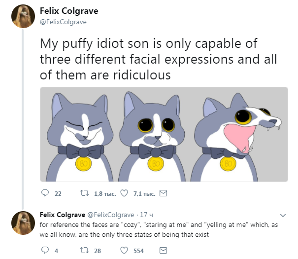 Three states of a cat - Felix Colgrave, Twitter, cat, Picture with text