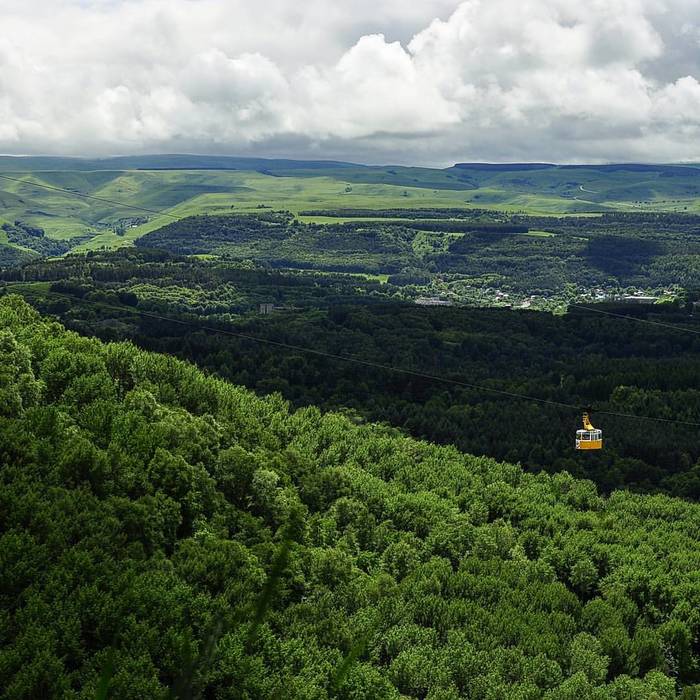 Фотографии из Кисловодска. Лето 2017 Фотография, Россия, Пейзаж, Птицы, Сойка, Длиннопост