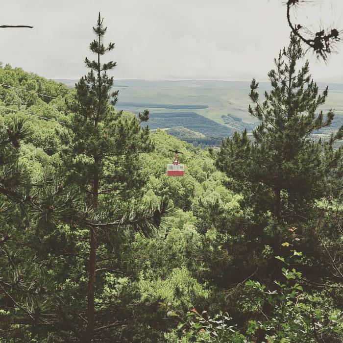 Фотографии из Кисловодска. Лето 2017 Фотография, Россия, Пейзаж, Птицы, Сойка, Длиннопост