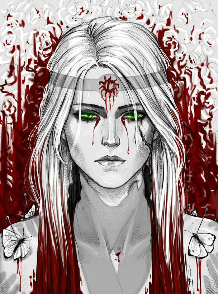 Witcher - Ciri , , The Witcher 3:Wild Hunt,  3:  , , 