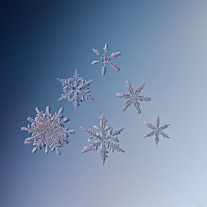 winter patterns - The photo, Snowflake, Macro, Winter, Macro photography