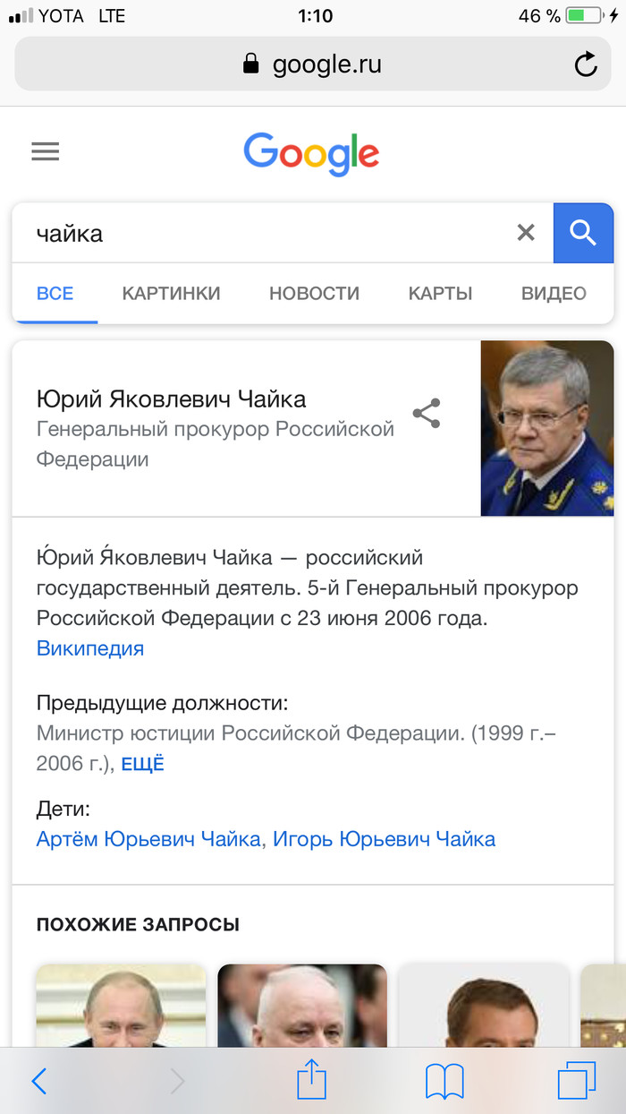 Хотел показать ребёнку как выглядит чайка .. - Чайки, Google, Яндекс, Длиннопост