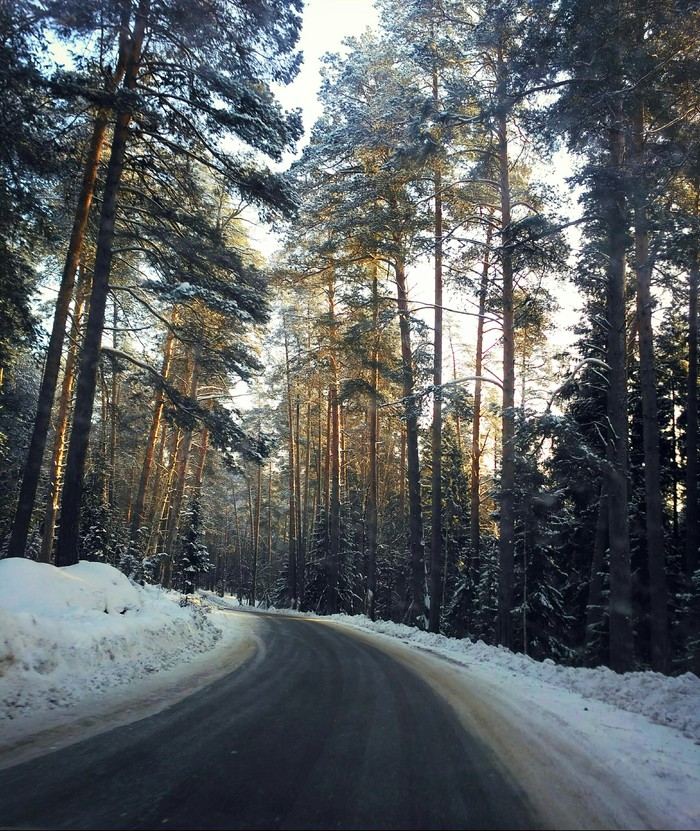 snow fairy tale - My, Winter, Snow, Pinery, Forest, Road, Story, Longpost