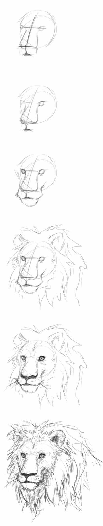 How to draw a lion - Pencil drawing, Drawing, Painting, With your own hands, Longpost