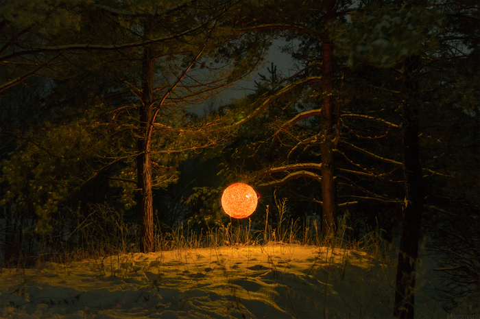 Night forest - My, The sun, Forest, Night, Collage