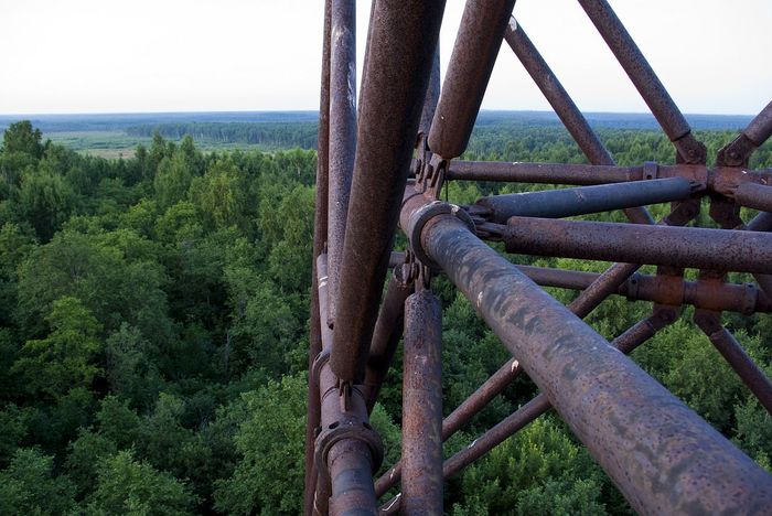 ржевский полигон можно ли гулять