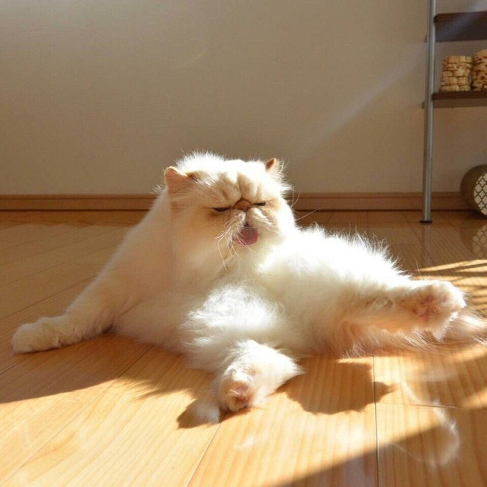 �������� ��� � �������� ����� ���������� ����������