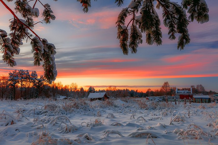 Murmansk region - December, Murmansk region, Snow, Winter, Forest, Landscape, The photo, Longpost