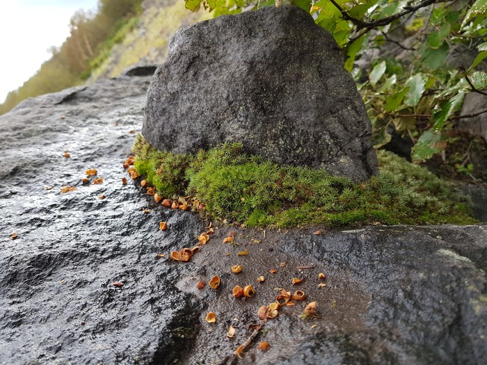 Traveling around Kamchatka - My, Travels, Kamchatka, Longpost