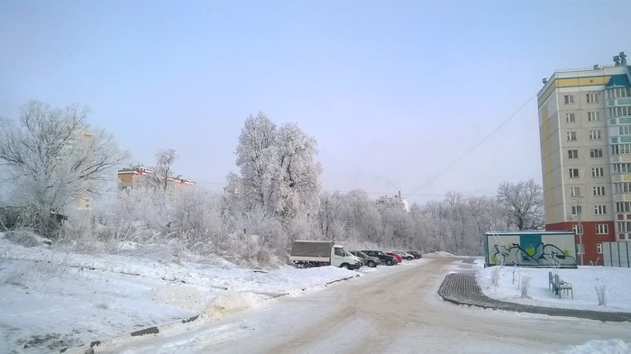 Frosty morning. - Eagle, Snow, Tree, freezing, Winter, Orel city, My