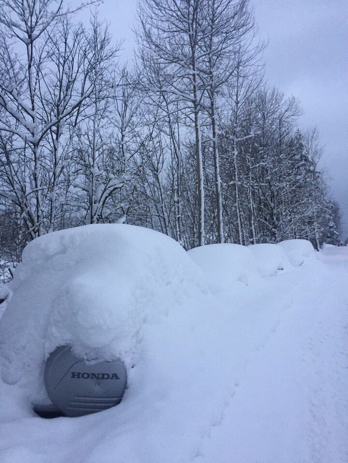 Это Норвегия, детка. Найди машину/ы Норвегия, Снегопад, Зима
