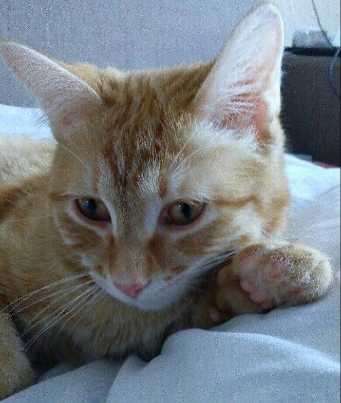 ���-����������...��� ��������� ������� �� ���������� ������.