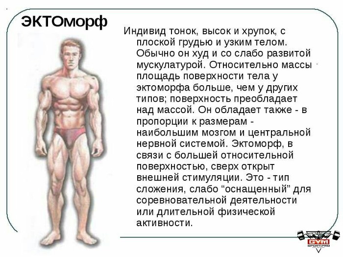 How to pump up the muscles of an eternally thin ectomorph? - My, Drishch, Body-building, Pump up, Gotta pump up, , Experiment, Ectomorph