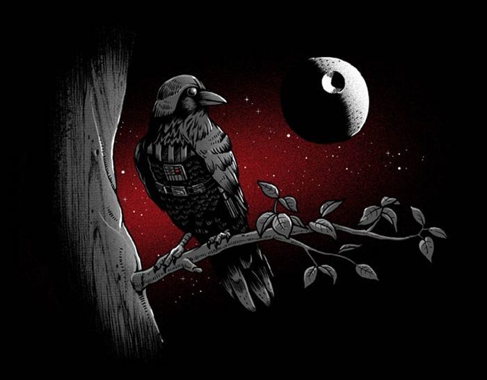 raven vader - Birds, Darth vader, The Death Star, Images