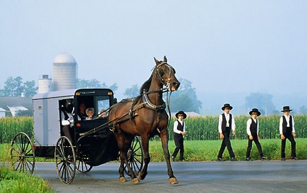 American Old Believers - A life, Longpost, , USA, Amish