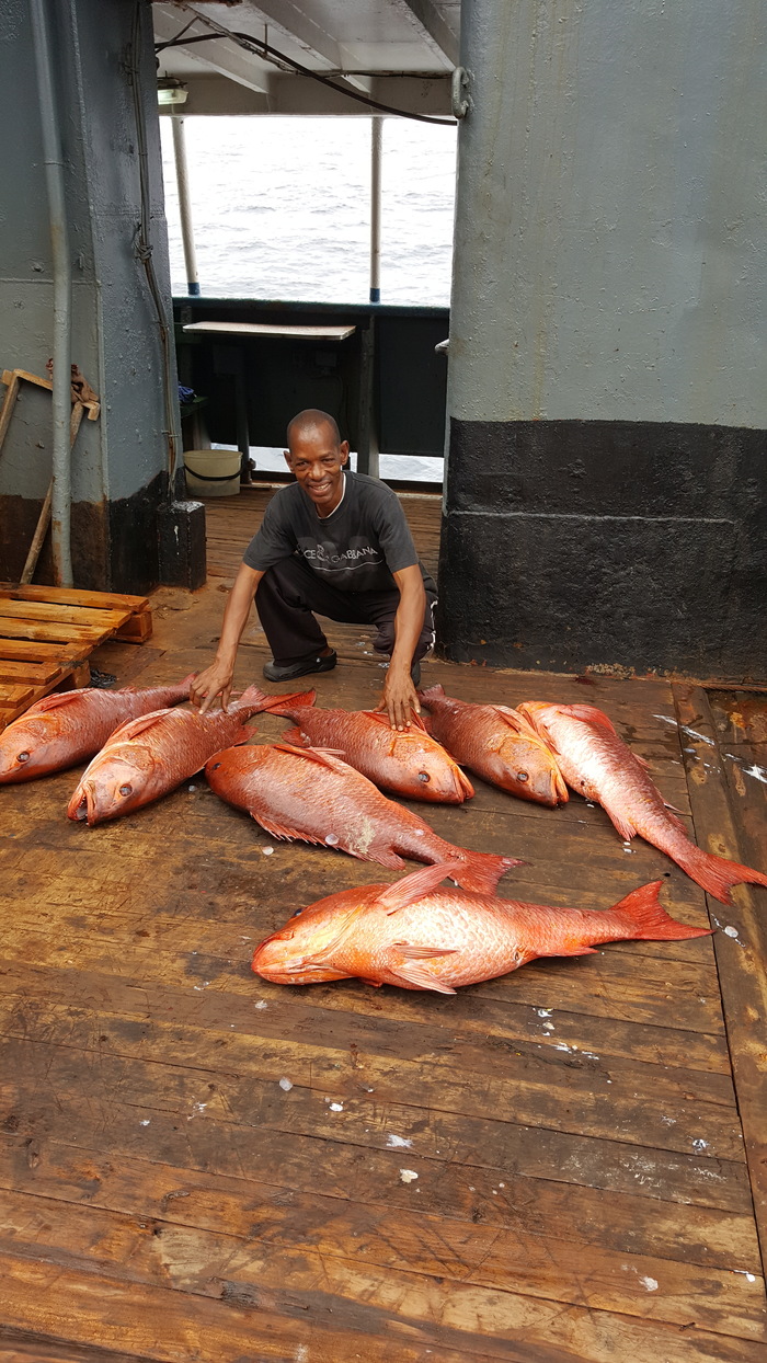 Caught goldfish - A fish, Catch, Ocean, , 