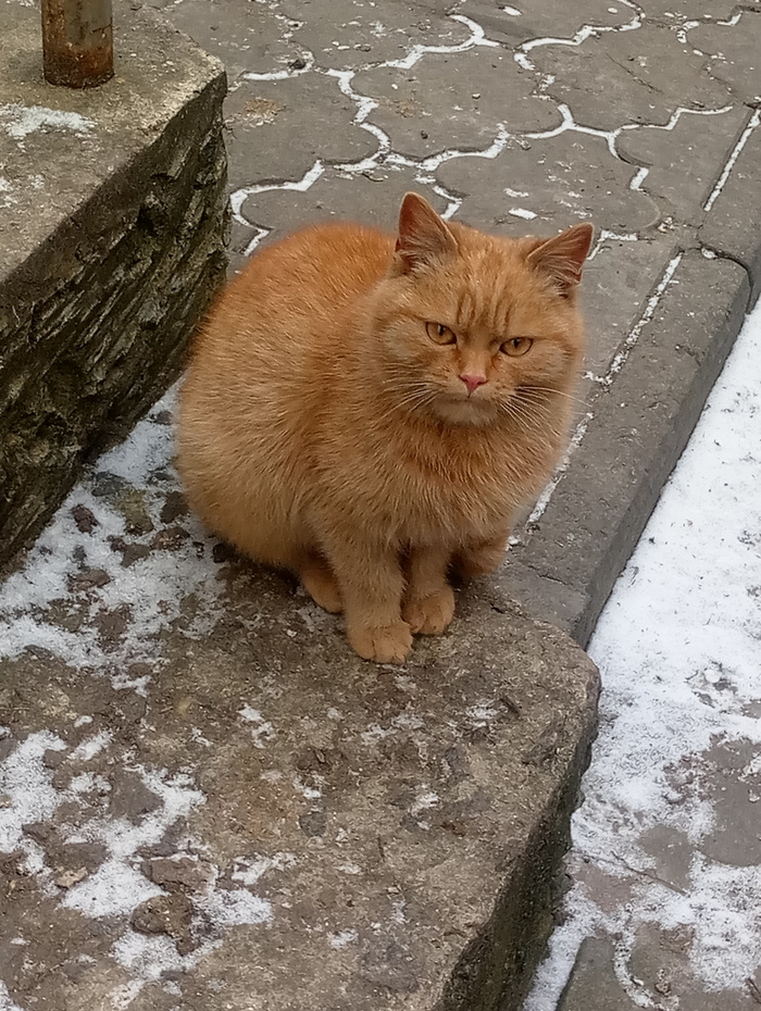 ��� �����