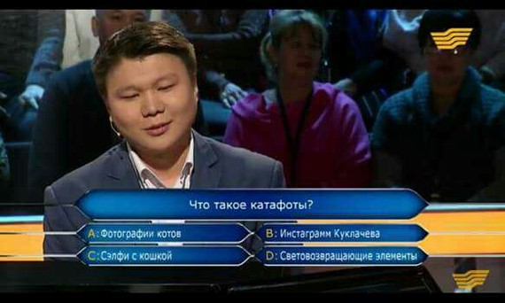 I'd rather not play - Who want to be a millionaire, cat, Humor, Who Wants to Be a Millionaire (TV Game)