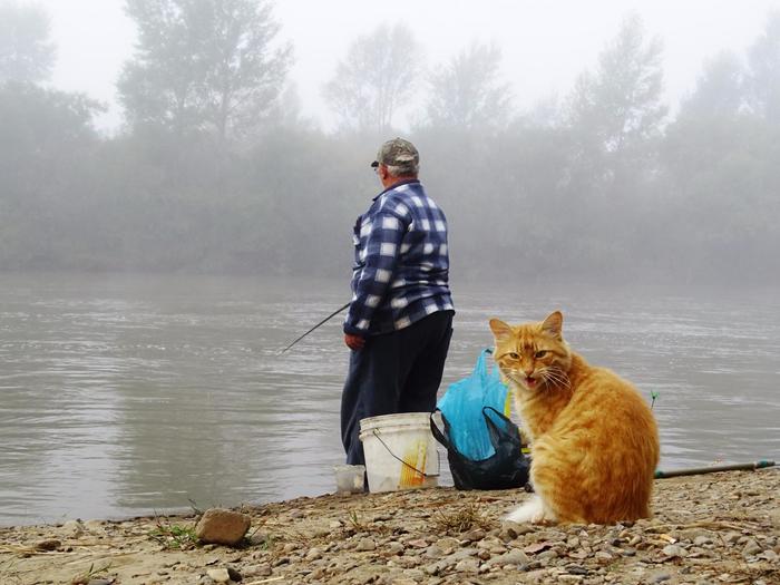 Watching the fishermen. - My, cat, Primorsky Krai, Oktyabrsky District, Razdolnaya River, Pokrovka, Longpost
