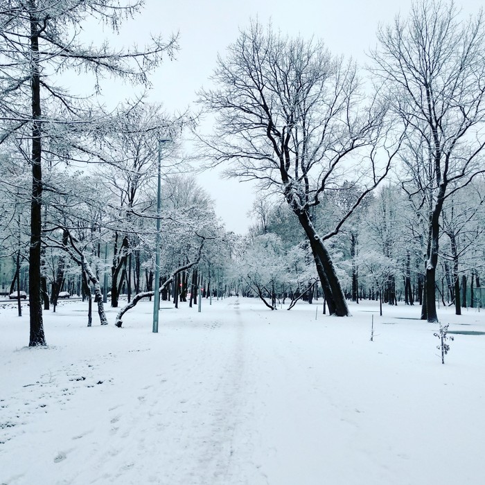 Утро. - Снег, Моё, Санкт-Петербург, Утро