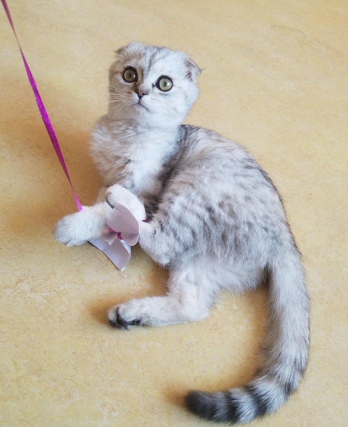 Когда понял, что основательно запутался