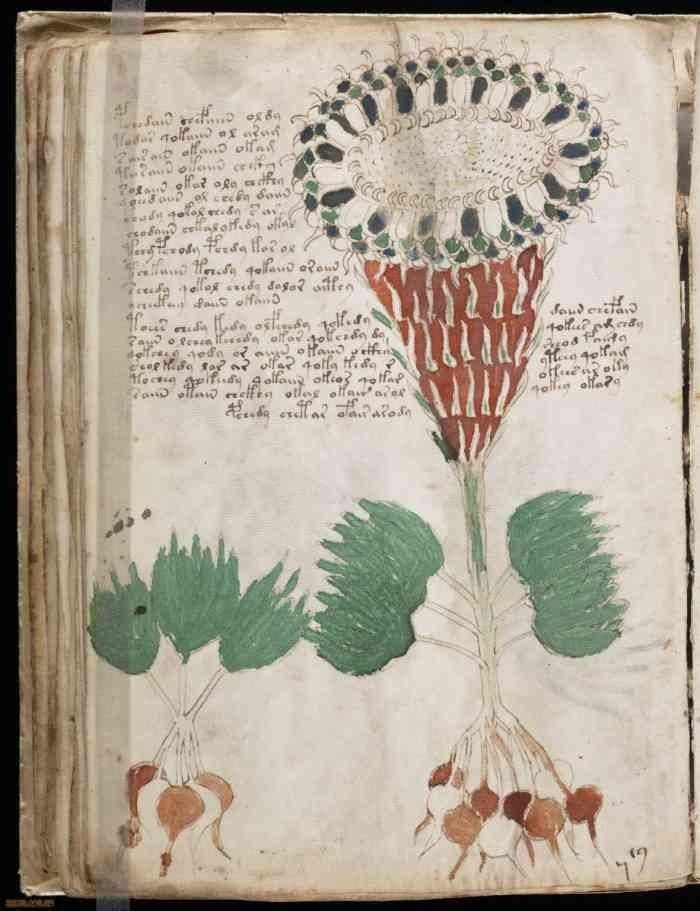 A book that cannot be read. Why has no one revealed the secret of the Voynich manuscript? - Story, Art, Mystic, Books, Alchemy, Longpost