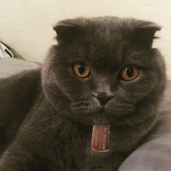 ����������� ������� ���)))