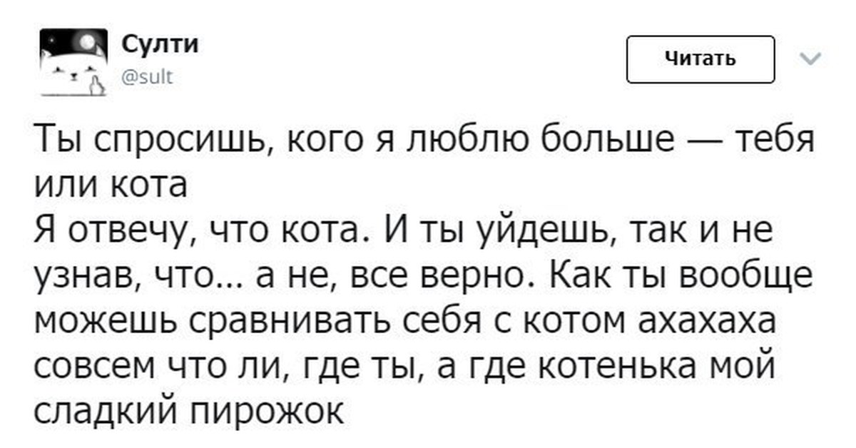 Вообще спроси. Ты спросишь кого я люблю больше тебя или. Кого я люблю больше тебя или. Ты спросишь кого я люблю тебя или кота. Однажды ты спросишь меня кого я люблю больше тебя или кота.