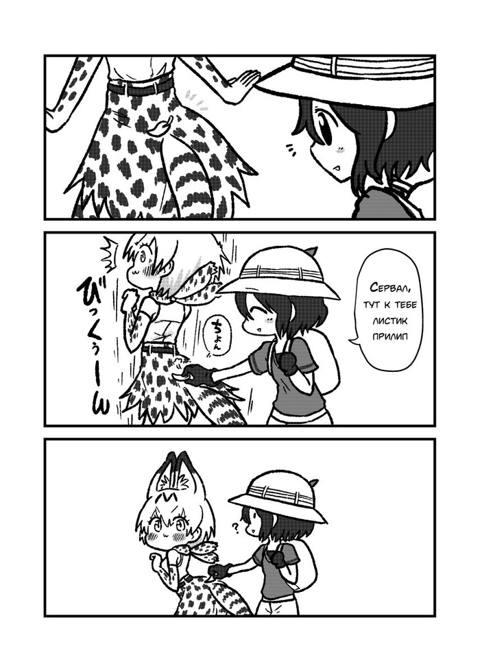 Чувствительное место - Аниме, Комиксы, Kaban, Serval, Kemono Friends, Длиннопост, Kotobuki