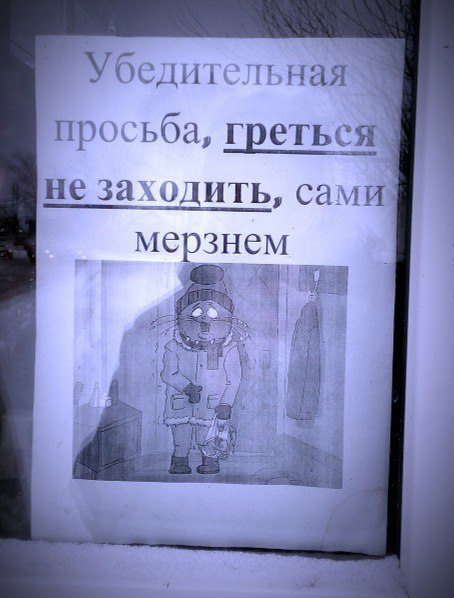 ���������� Bird Born ���� � �����.