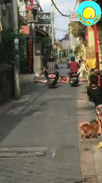   , ,  , 