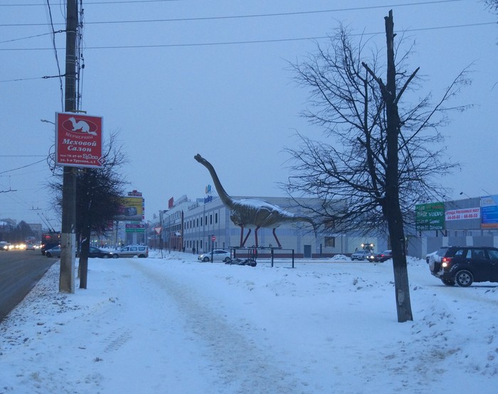 Seemed? - My, Morning, Dinosaurs, Brachiosaurs