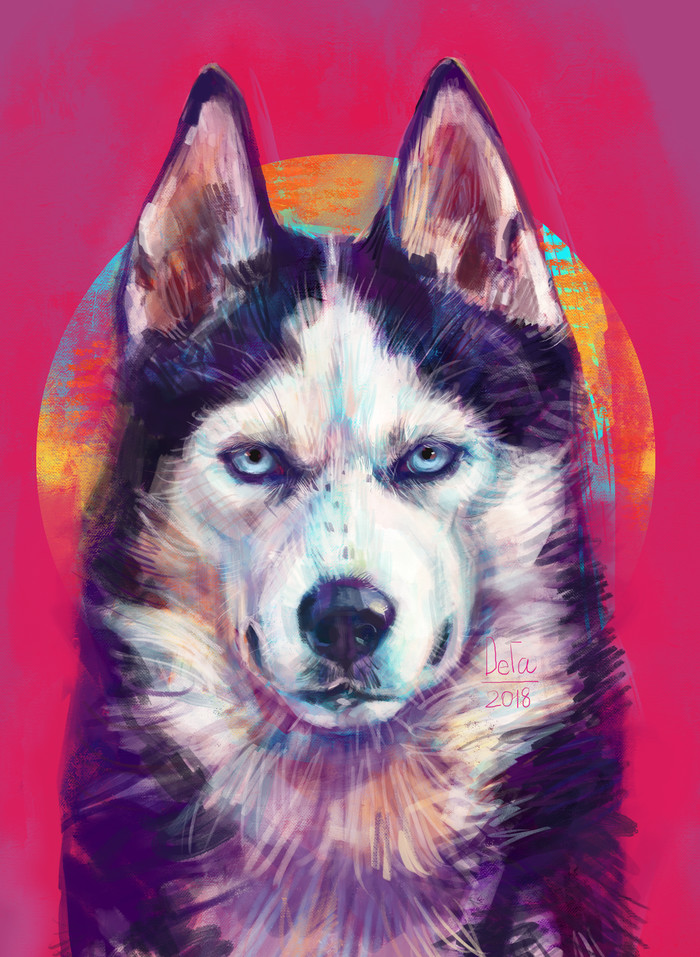 bright husky - My, Dog, Husky, Photoshop, Longpost