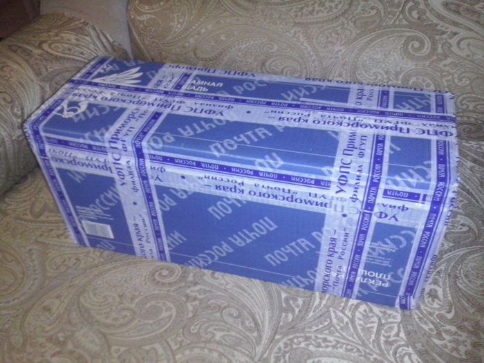 From an altruist from Vladivostok to Petrozavodsk :) - My, Gift exchange, Longpost, cat