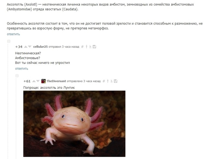 Axolotl is... - Comments on Peekaboo, Obrazovach, Genome, Comments