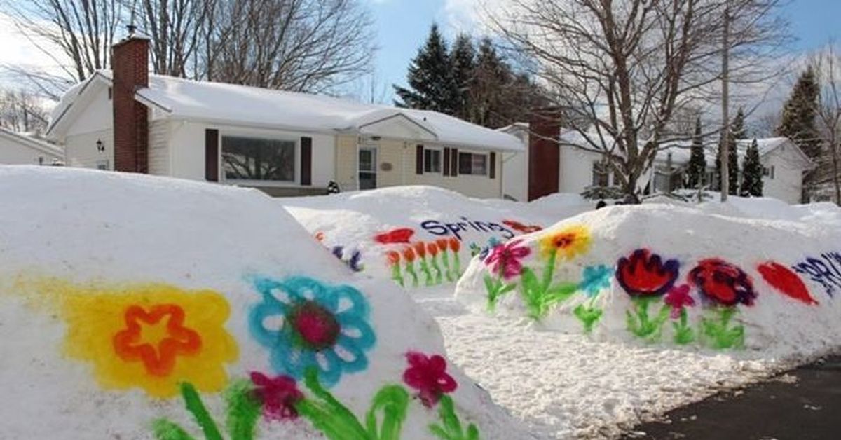 Winter came spring. Цветы красками на снегу. Стена из снега. Цветы нарисованные на снегу. Цветы на сугробах рисуем краской.