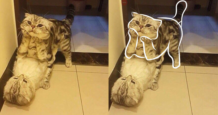 Показалось