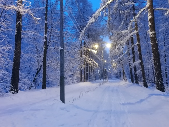 Сокольники сейчас | Пикабу