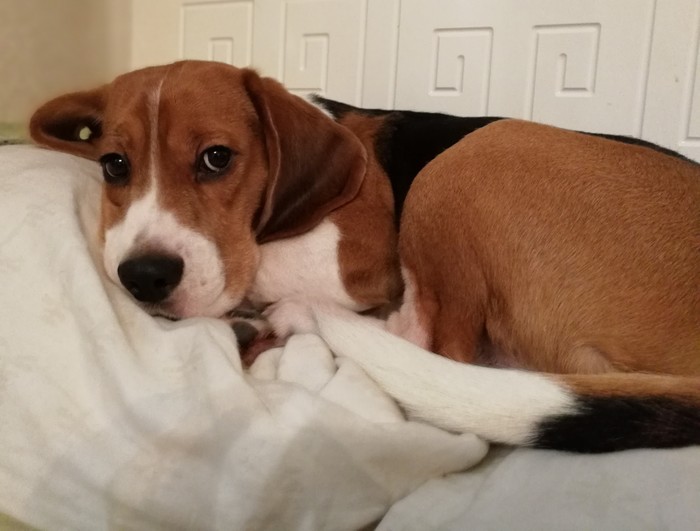 ��, ������� ��