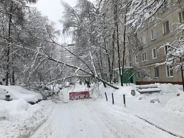 Зимушка-зима разбушевалась! - Зима, Дерево, Двор, Никто не проедет