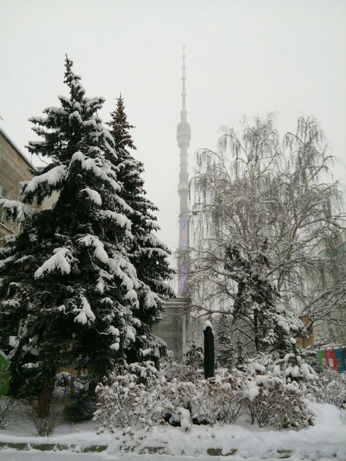 Winter Ostankino - My, Ostankino tower, Telecentre, Winter