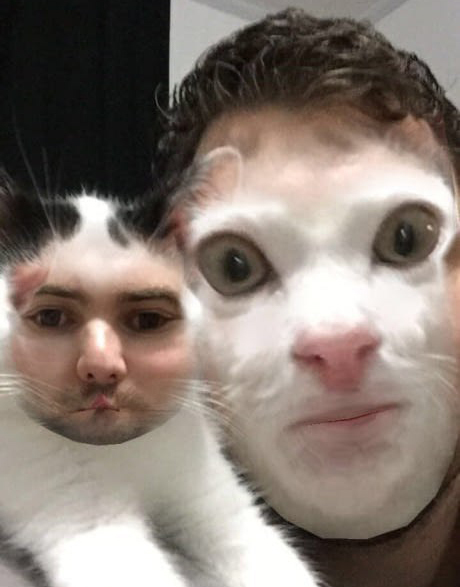 Ideally - cat, My master is an idiot, Face swap, Images, Person