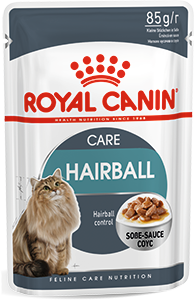 Cat food [not relevant] - My, Freebie, In good hands, Animal feed, cat house, Cat's food, Moscow