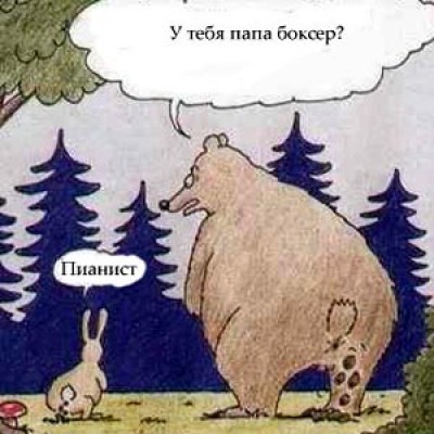 Bear!!! - Bear, Humor, The Bears